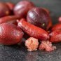 Imported Rose Pink Bliss Finger Lime Plant 10 PCS seeds