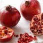 Imported Rose Red Finger Lime Pomegrante Plant 10 PCS Seeds