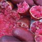 Imported Rose Red Finger Lime Pomegrante Plant 10 PCS Seeds