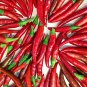 Imported Thai Eugonic Red Line Chili Pepper 200 PCS Seeds