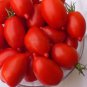 Imported Tomato Seeds Professional Pack organic bright red middle fruits 100 PCS Seeds