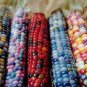 Indian Colorful Corn 20 PCS Seeds