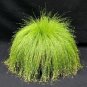 Isolepis Cernua 10 PCS Seeds