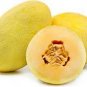 Italian Ananas Hami Melon Fruits 20 PCS Seeds