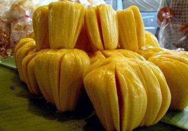 Jackfruit 5 PCS Seeds