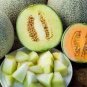 Japan Maite Sweet Melon Seeds Very Delicious Muskmelon 100 PCS Seeds