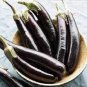 Japanese Black Long Eggplant 1000 PCS Seeds