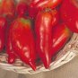 Jersey Devil Tomato 100 PCS Seeds