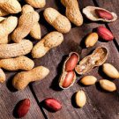 Jumbo Virginia Peanuts Untreated