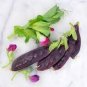 Kasuki Novel Finger Limes Citrus Pomegranate Bonsai 20 PCS Seeds