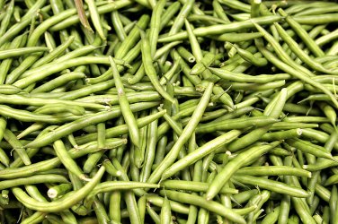 Kidney Bean Seeds Green Bean Vegetables 10 PCS Seeds