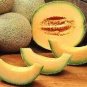 Korea Sweet Melon Seeds Very Delicious Hami Melon Muskmelon 10 PCS Seeds