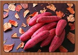 Leguminosae sweet potato 100 PCS Seeds