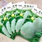 Lettuce Fast Growing Vegetable Organic 200 PCS Seeds