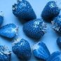 Light Blue Strawberry Hybrid Seeds Giant Juicy Potted Fruit 300 PCS Seeds