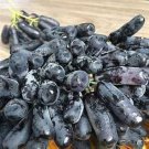 Little Bee' Black Grape Fruit 100 PCS Seeds