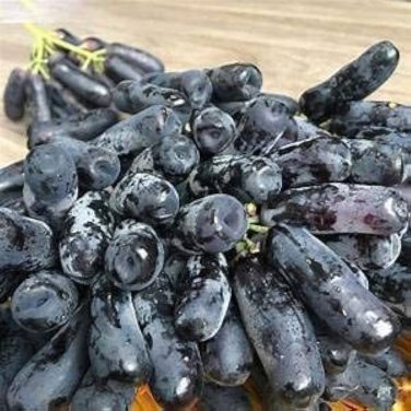 Little Bee' Black Grape Fruit 100 PCS Seeds