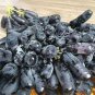 Little Bee' Black Grape Fruit 100 PCS Seeds