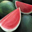 Long Big Black Skin Pink Watermelon Fruit 8 PCS Seeds