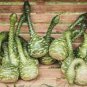 Long Handle Dipper Gourd 10 PCS Seeds