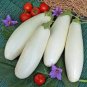 Long White Eggplants, Organic Heirloom Vegetables 20 PCS Seeds
