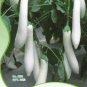 Long White Eggplants, Organic Heirloom Vegetables 20 PCS Seeds