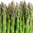 Lucid Asparagus Chinese Herbs 6 PCS Seeds