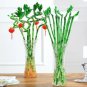 Lucky Bamboo Seeds Home Garden Decoration Perennial Indoor Plant 50 PCS Seeds