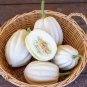 Mashed Potato Squash 50 PCS Seeds