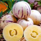 Melon Pepion (Solanium Muricata) Organic Heirloom 20 PCS Seeds