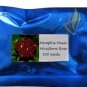 MEMPHIS MUSIC MINIFLORA ROSE 500 PCS Seeds