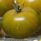 Middle Green Tomato with Yellow Stripe Organic 30 PCS Seeds