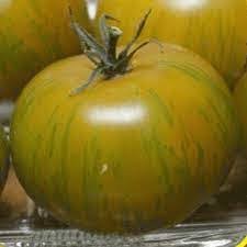 Middle Green Tomato with Yellow Stripe Organic 30 PCS Seeds