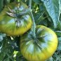 Middle Green Tomato with Yellow Stripe Organic 30 PCS Seeds