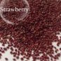 Middle-sized Red Climbing Strawberry Fruits 100 PCS Seeds