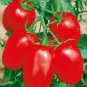 Milky Red Cherry Tomato, Edible Organic Fruits 20 pcs Seeds