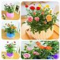 Mini Rose Bonsai Miniature Rose Bonsai A Little Cute Plants 100 PCS Seeds