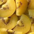 Mini Small Middle Large Chinese Gooseberry Kiwifruit 50 PCS Seeds Mini Small Middle Large Chinese Gooseberry Kiwifruit 50 PCS Seeds