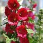 Miniature Hollyhock Flower Bonsai Plant DIY Home Garden 200 PCS Seeds