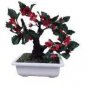 Mini Violet Beautiful Bonsai Flower 100 PCS Seeds