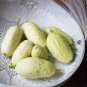Miniature Sweet White Cucumber Cucumis Sativus 10 PCS Seeds