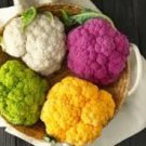 Mix Four Varieties Cauliflower Seeds Professional Pack 300 PCS Seeds Mix Four Varieties Cauliflower Seeds Professional Pack 300 PCS Seeds