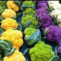 Mix Four Varieties Cauliflower Seeds Professional Pack 300 PCS Seeds