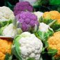 Mix Four Varieties Cauliflower Seeds Professional Pack 300 PCS Seeds