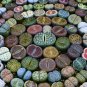 Mix Living Stone Plants 100 PCS Seeds