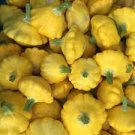 Mix Scalloped Patty Pan UFO Squash 8 PCS Seeds
