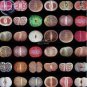 Mixed 10 Types of Lithops varieties living stones succulent bonsai 10 PCS Seeds
