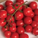 Mixed 16 Types Tomatoes S M L sized Red Pink Green Black Brown Tomato Fruit 150 PCS Seeds Mixed 16 Types Tomatoes S M L sized Red Pink Green Black Brown Tomato Fruit 150 PCS Seeds