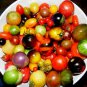 Mixed 27 Types of Different Tomato Family 100 PCS Seeds