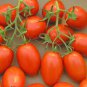 Mixed 27 Types of Different Tomato Family 100 PCS Seeds